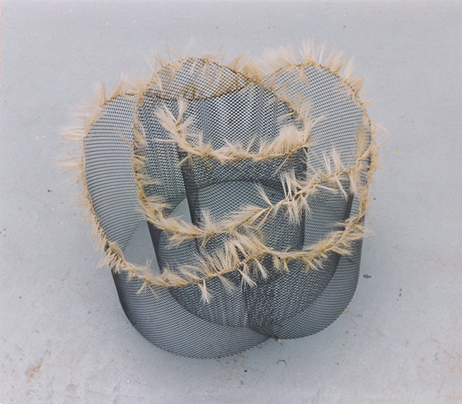 Dossier: Learning from Angels 1999 / Bild: 450